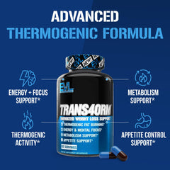 EVL Trans4orm green tea ingredients display highlights natural caffeine for focus.