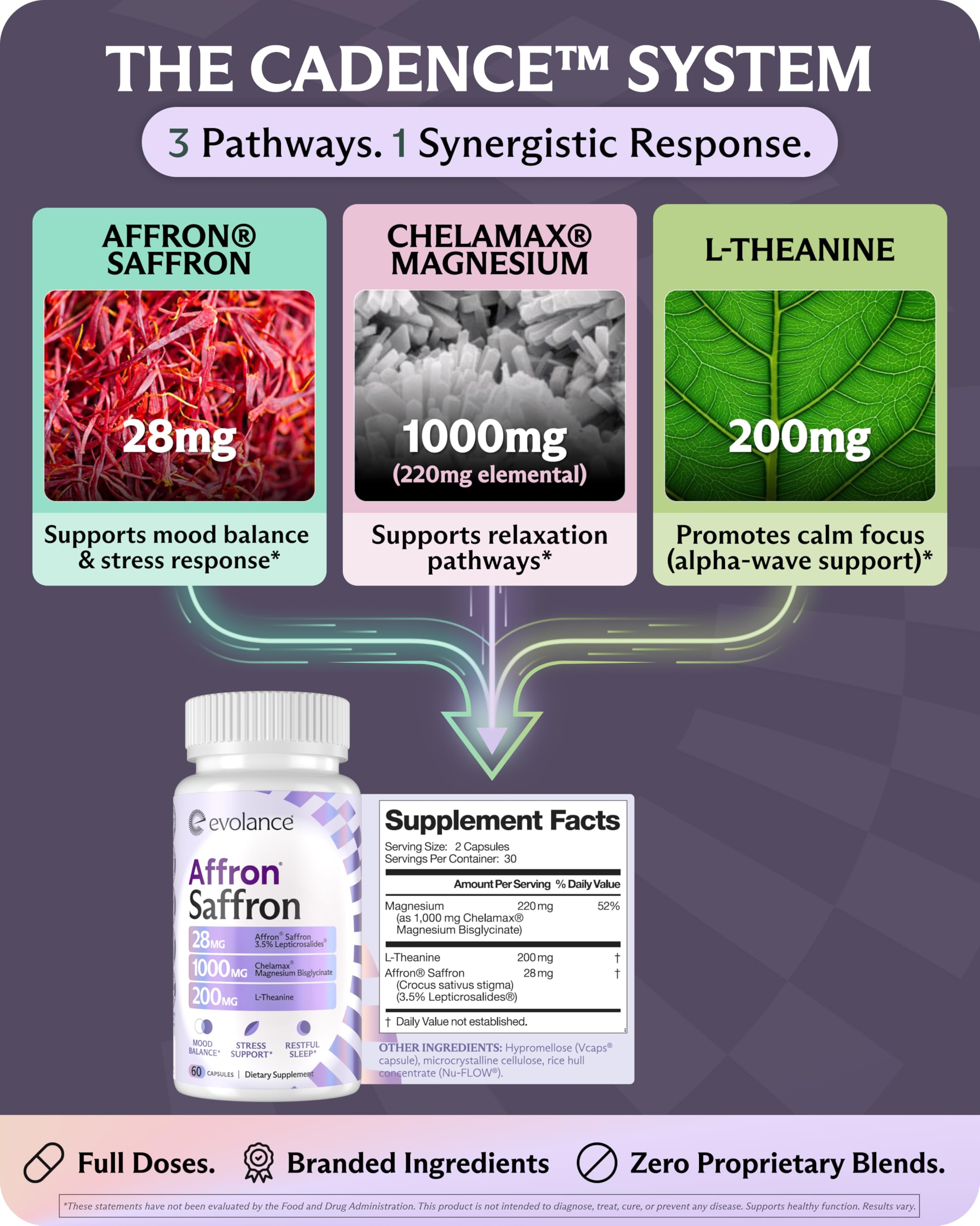 Evolance L-Theanine capsules closeup for smoother focus