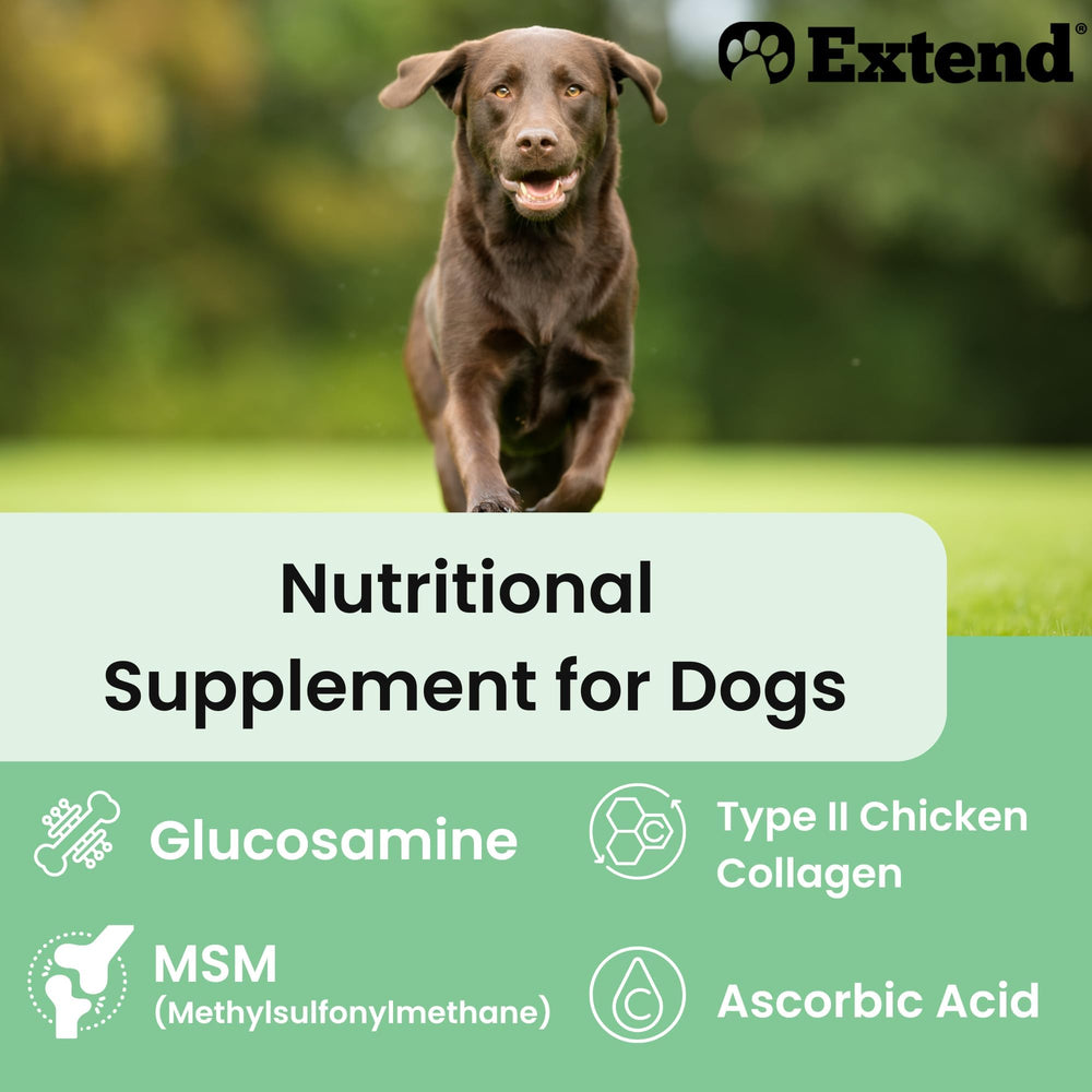Extend MSM dog joint support powder aids connective tissue