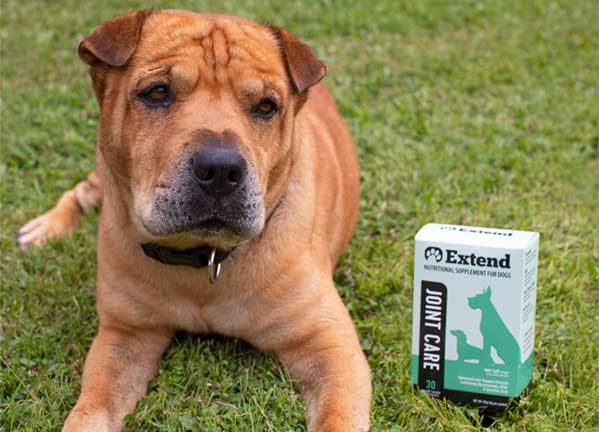 Extend Type II collagen dog powder supports cartilage health
