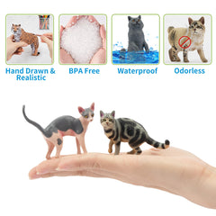 EYSCOTA British Shorthair figurine with lifelike painting for storytelling.