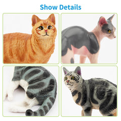 EYSCOTA Canadian Hairless figurine highlighting unique features for classroom crafts.