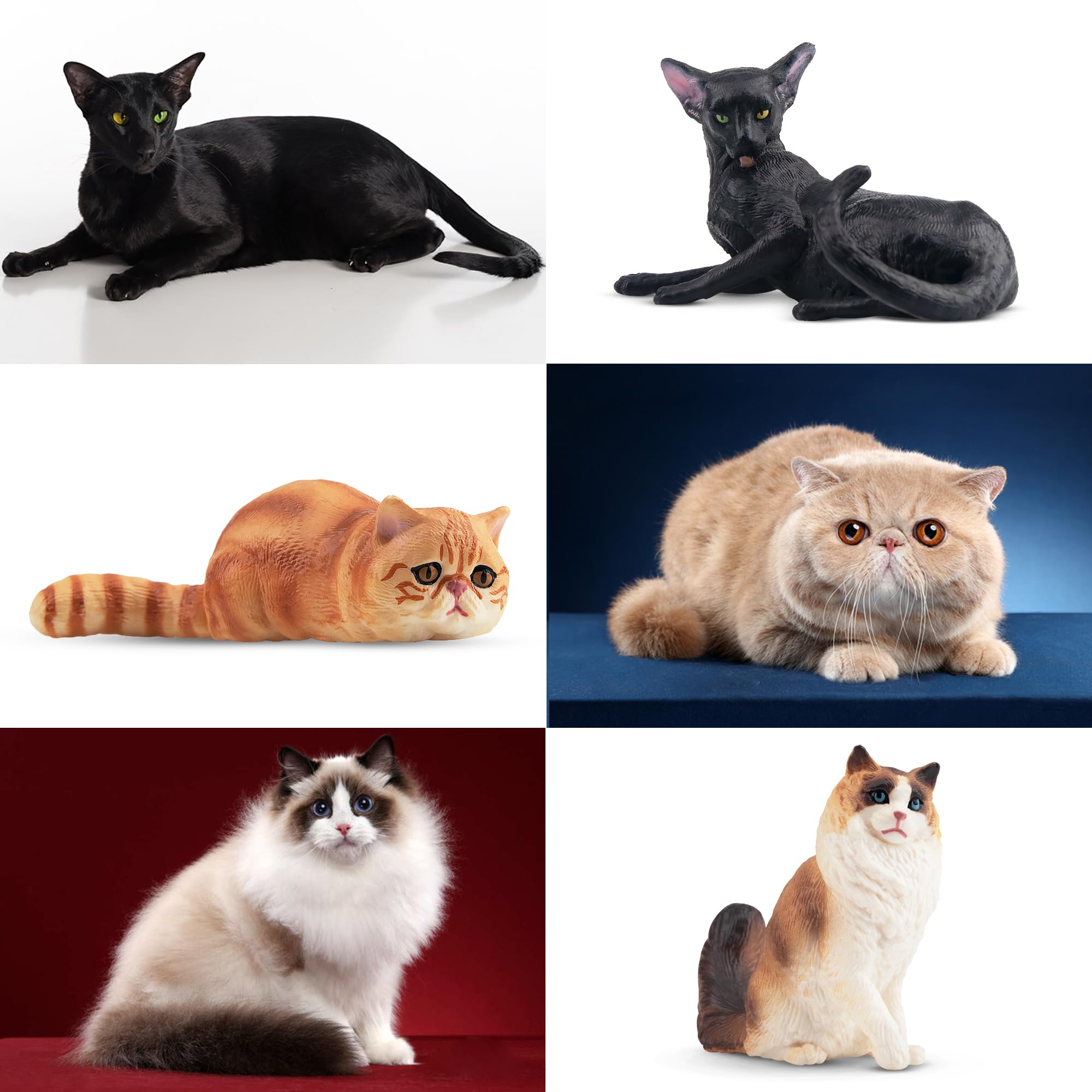 EYSCOTA Siamese cat figurines with cute facial expressions for stories
