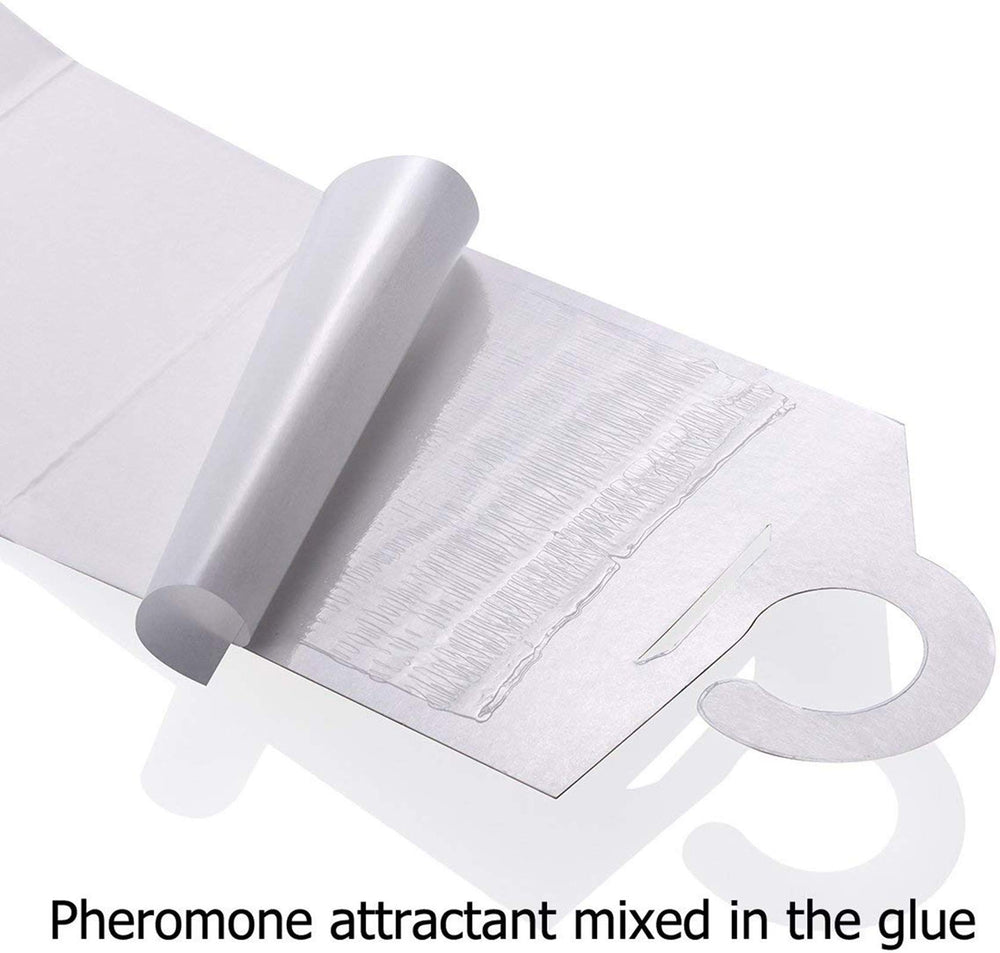 Faicuk pheromone attractant lure releasing scent to attract male moths near clothing.