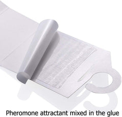 Faicuk pheromone attractant lure releasing scent to attract male moths near clothing.
