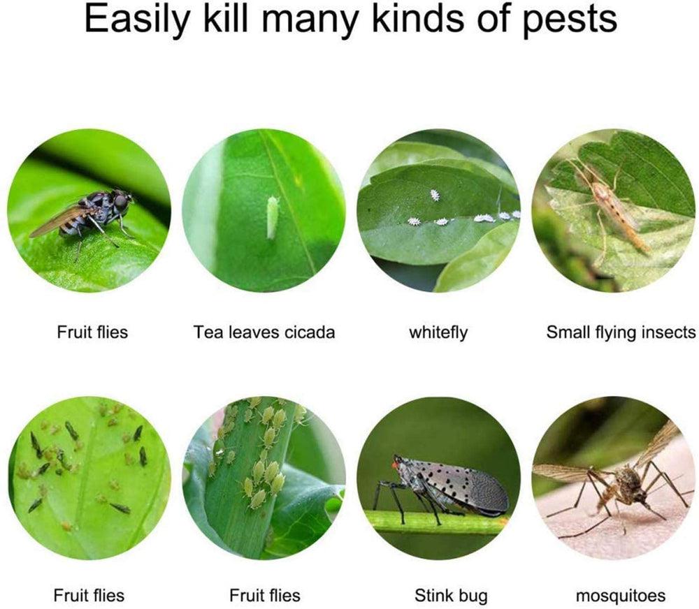 Faicuk yellow sticky traps unrolling in use for pest monitoring outdoors.