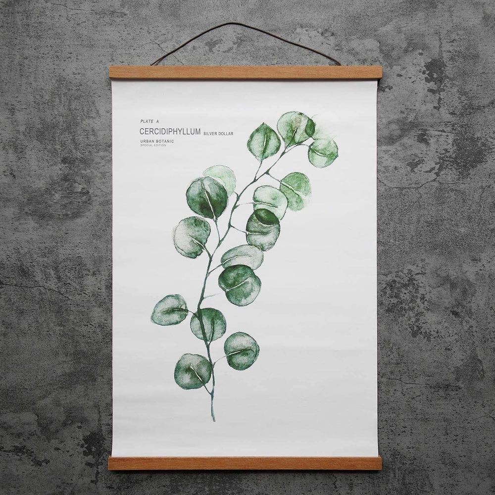 FALAMON magnetic poster hanger ready for quick wall display.