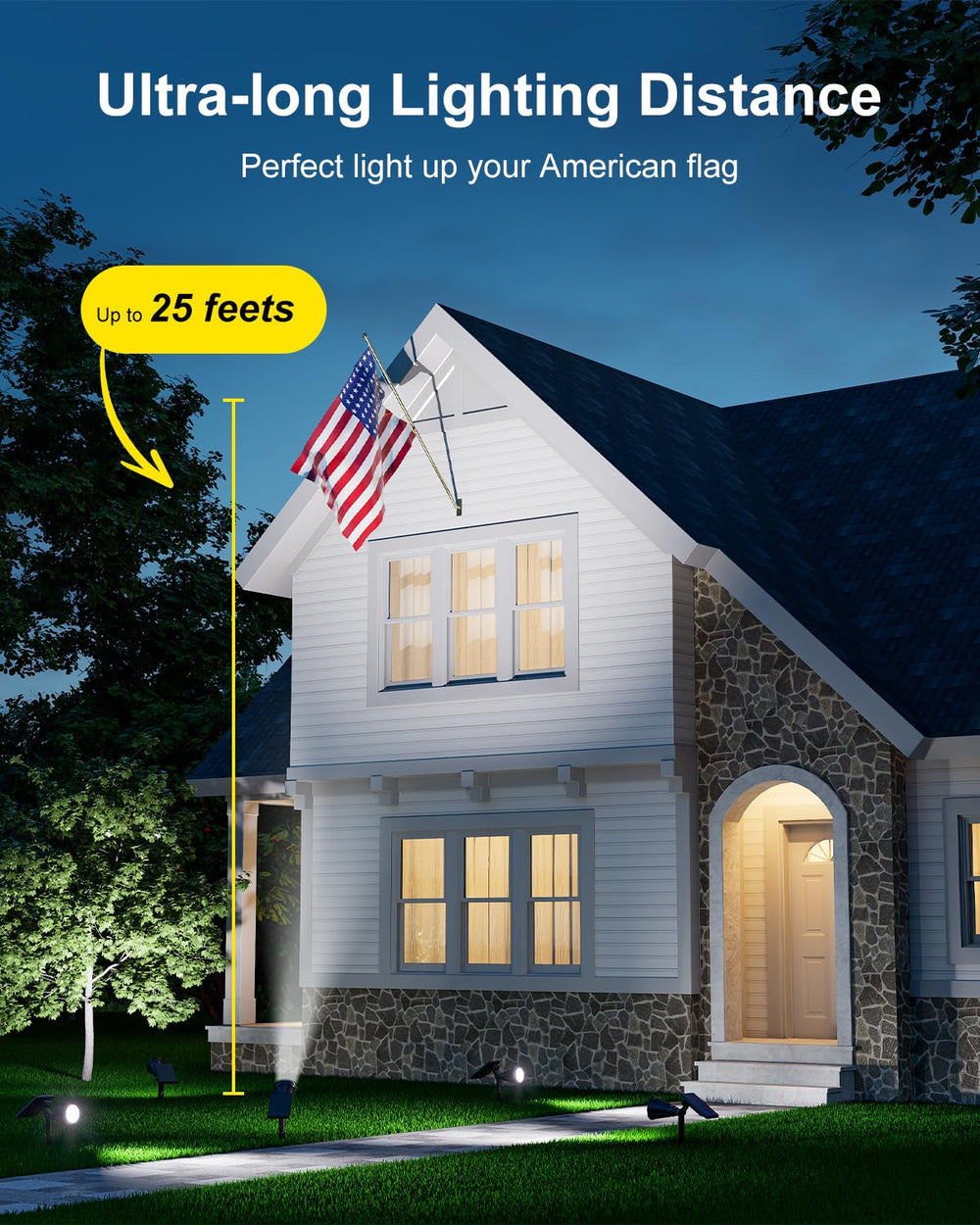 Falove solar spot light directs beams to tall palm tree tops.