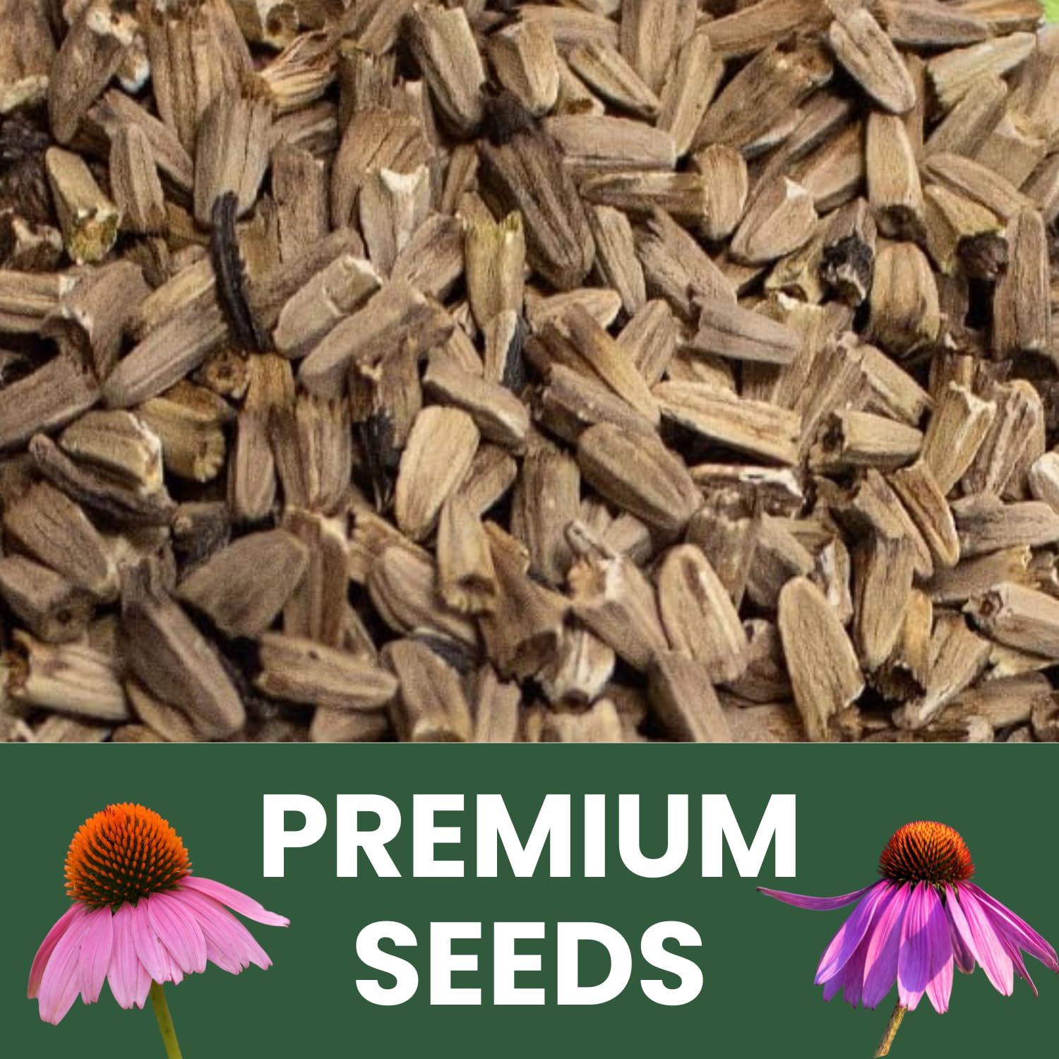 Family Sown 5-gram freshness pouch keeps seeds viable through storage.