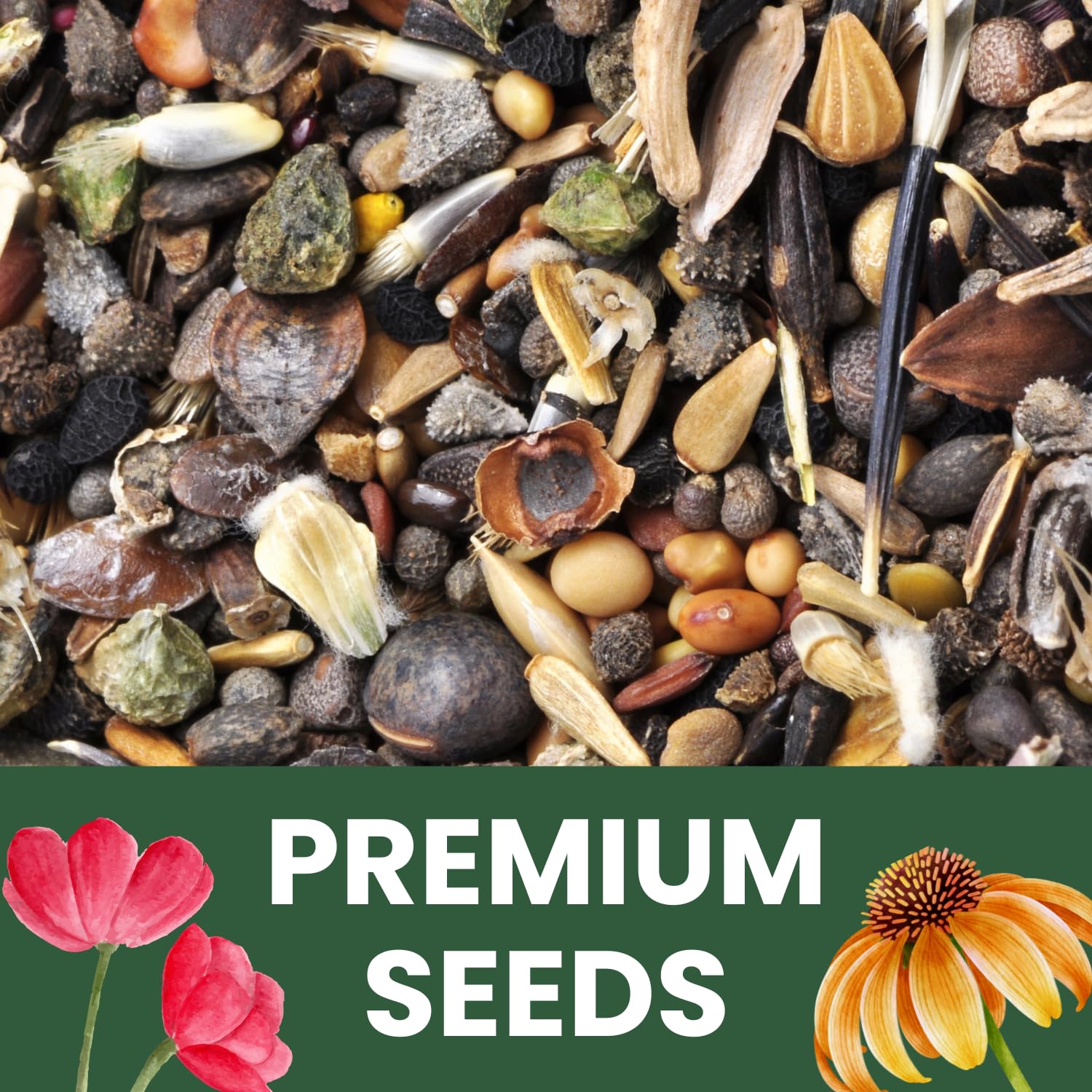 Gift-ready packaging from Family Sown seeds with reusable zipper