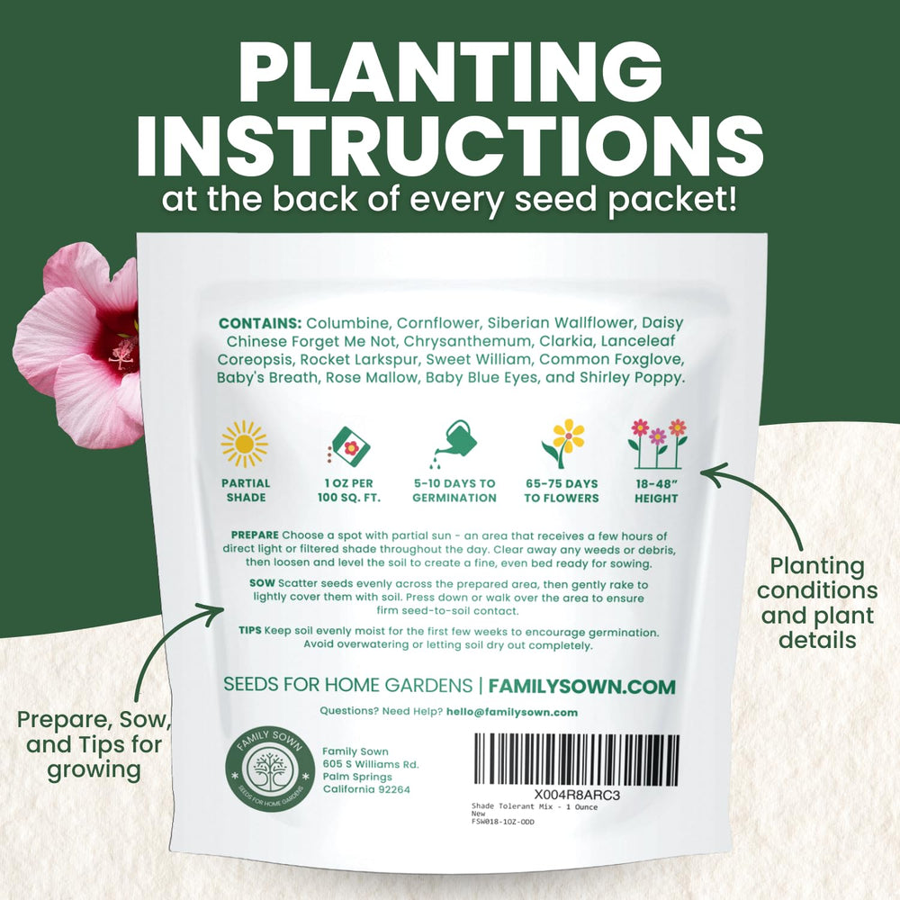 FAMILY SOWN pollinator garden idea image features gentle bloom clusters attracting bees