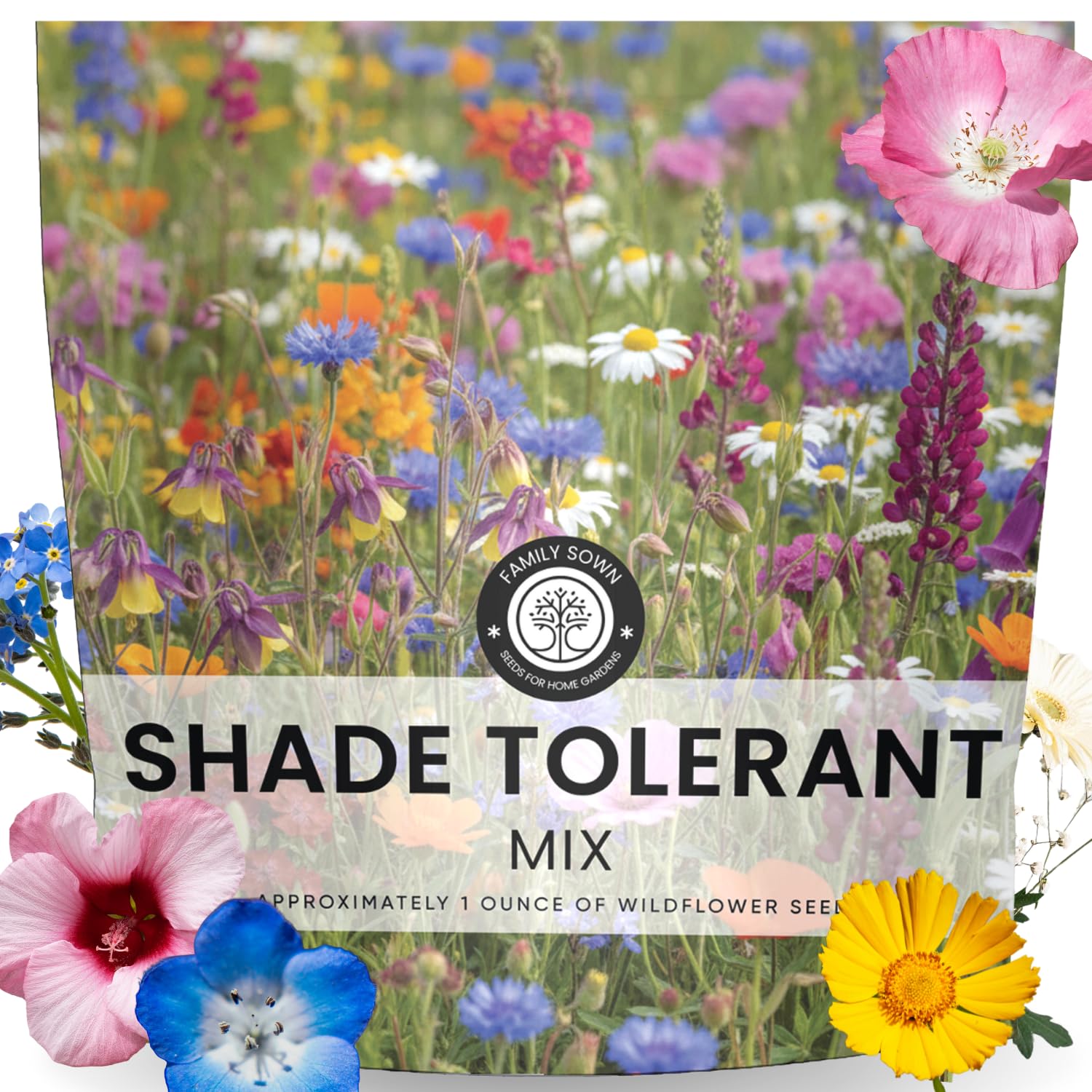 FAMILY SOWN shade-tolerant wildflower mix seeds pack brightening shaded garden corners for pollinators