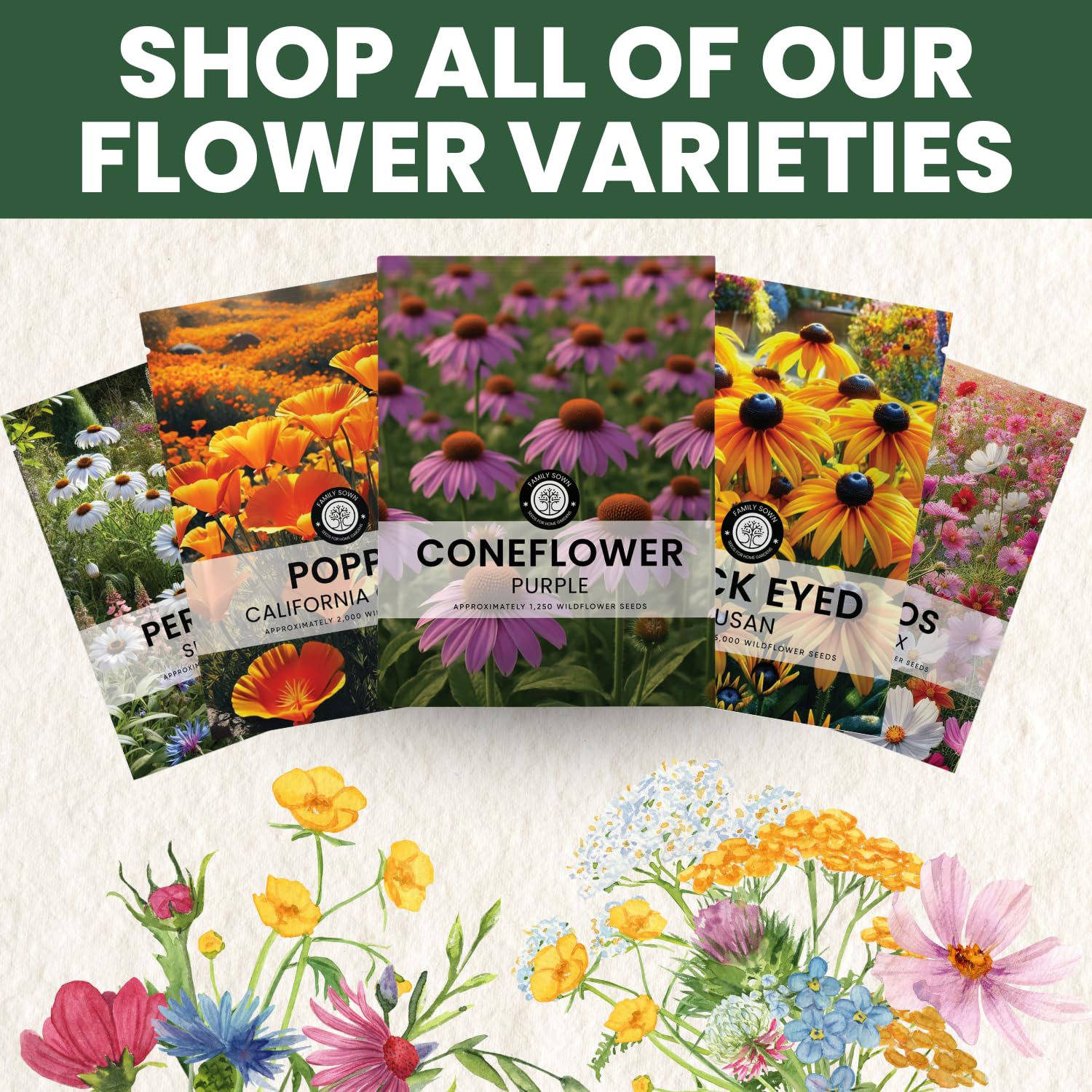 Family Sown simple planting instructions help gardeners start resilient perennial patches.