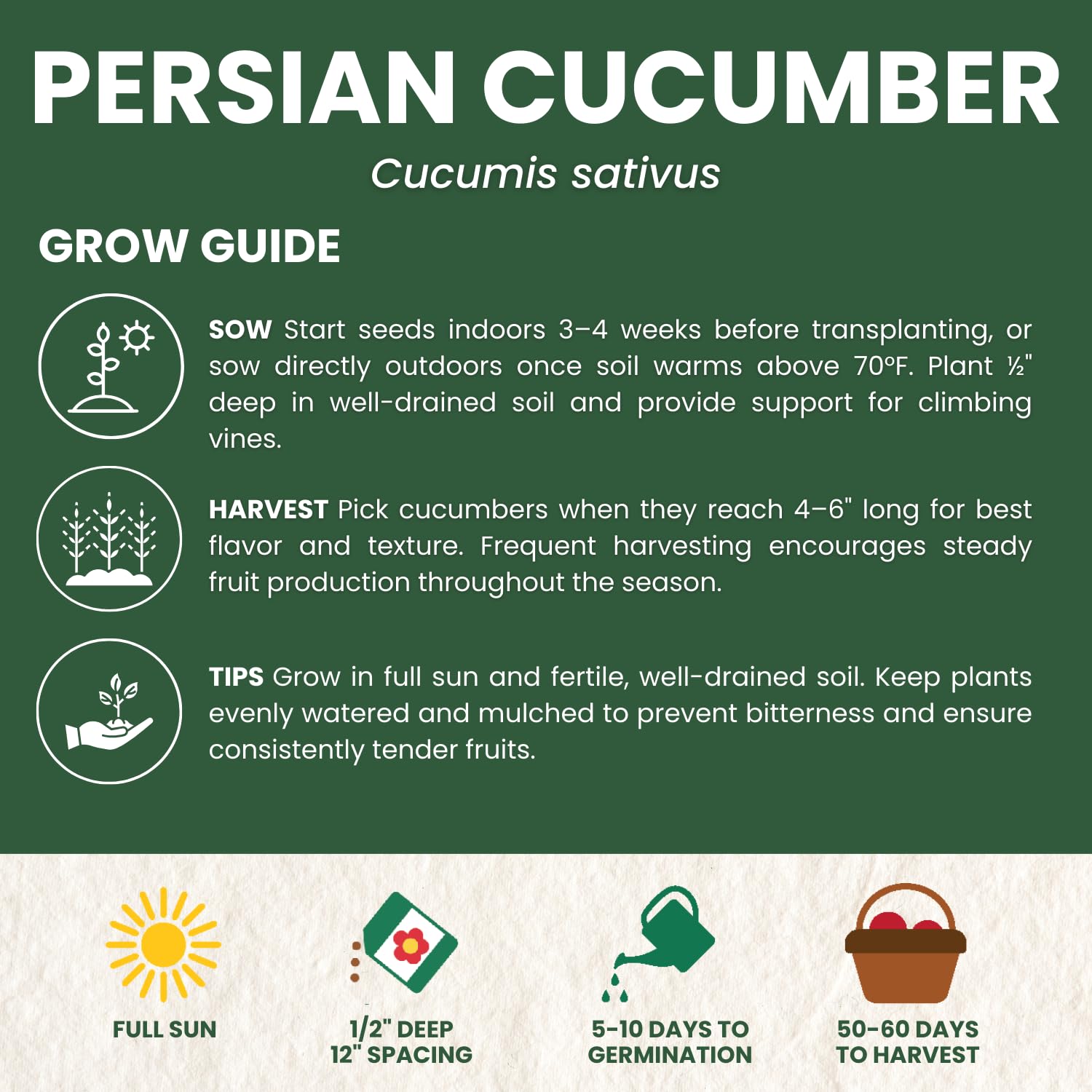 Family Sown compact garden cucumber plant thrives in small spaces.
