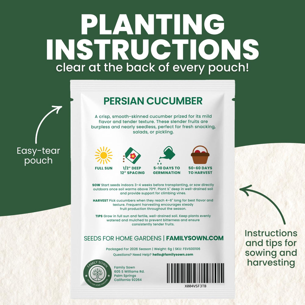 Family Sown Persian cucumber harvest shows crisp, snack-sized fruits.