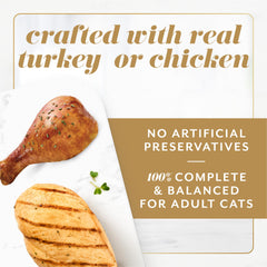 Fancy Feast Gems gravy halo close-up showcases rich, appetizing sauce around pâté mousse.