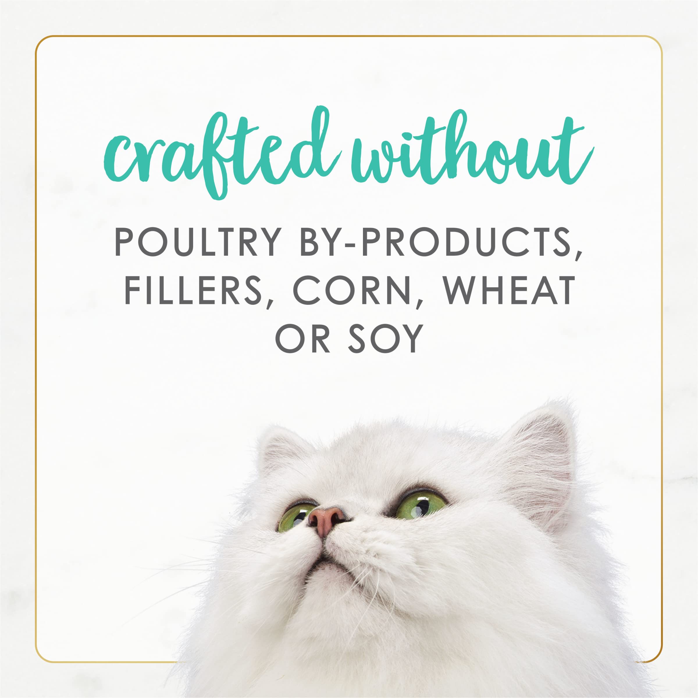 Fancy Feast Gourmet Naturals label close-up emphasizing natural ingredients.