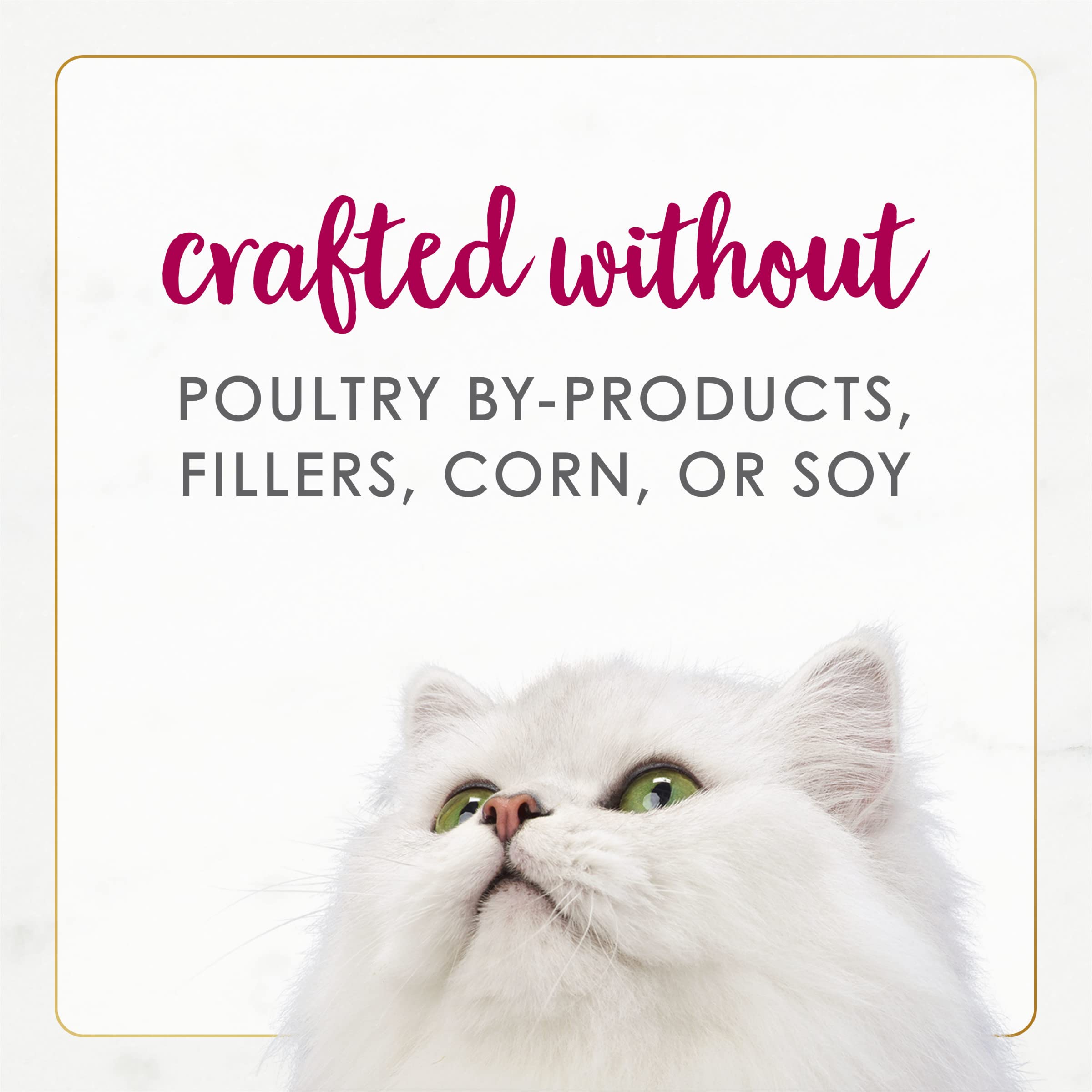 Fancy Feast Gourmet Naturals texture moelleuse facile à mâcher pour chats.