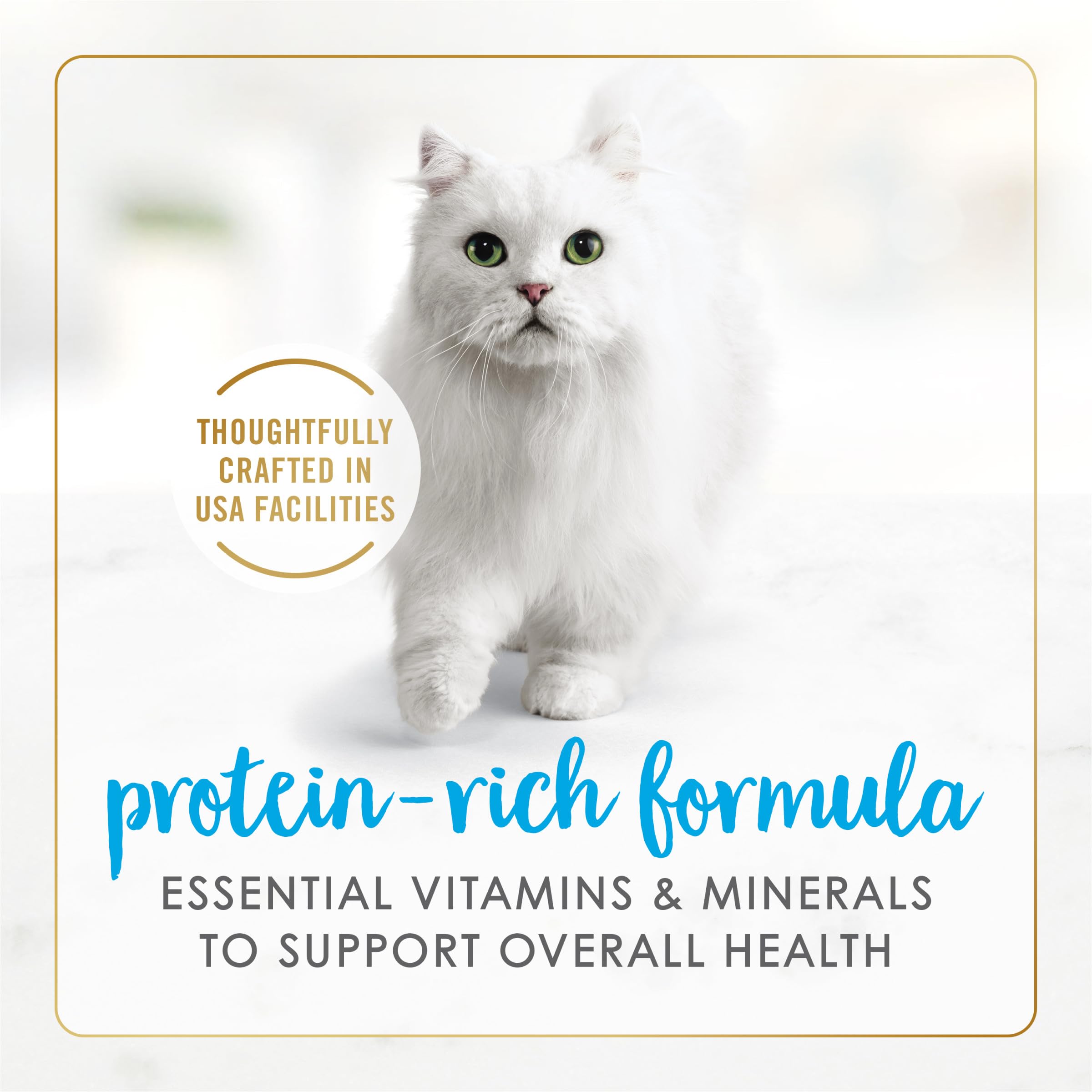 Fancy Feast Gravy Lovers 3oz can pack for convenient adult cat meals