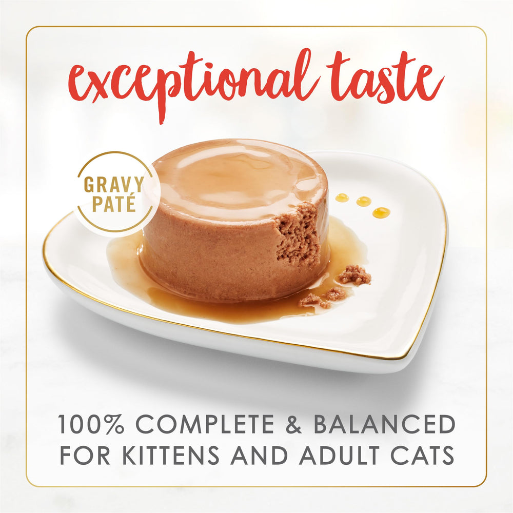 Fancy Feast Gravy Lovers beef pate texture close-up