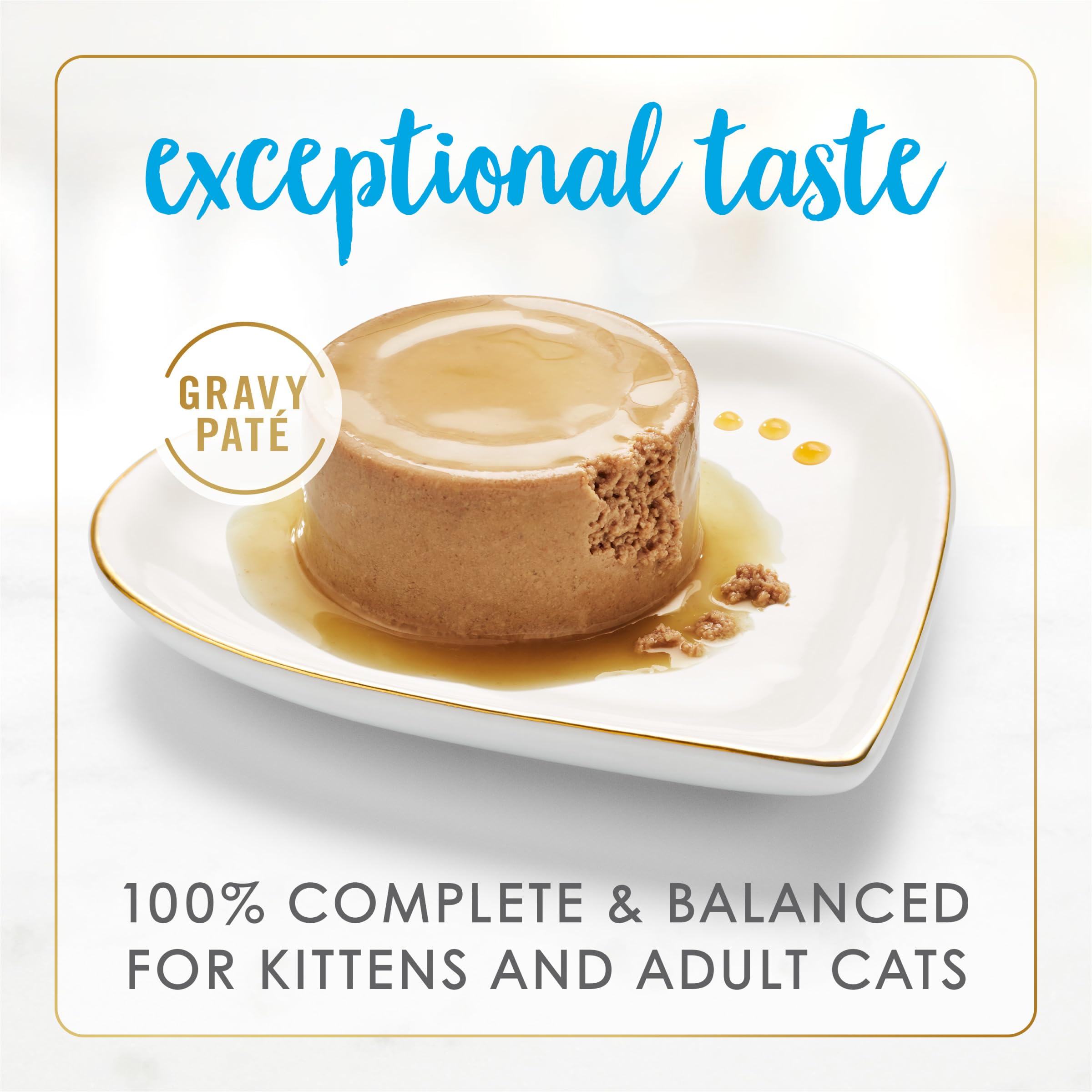 Fancy Feast Gravy Lovers pate in gravy close-up shows premium seafood flavor