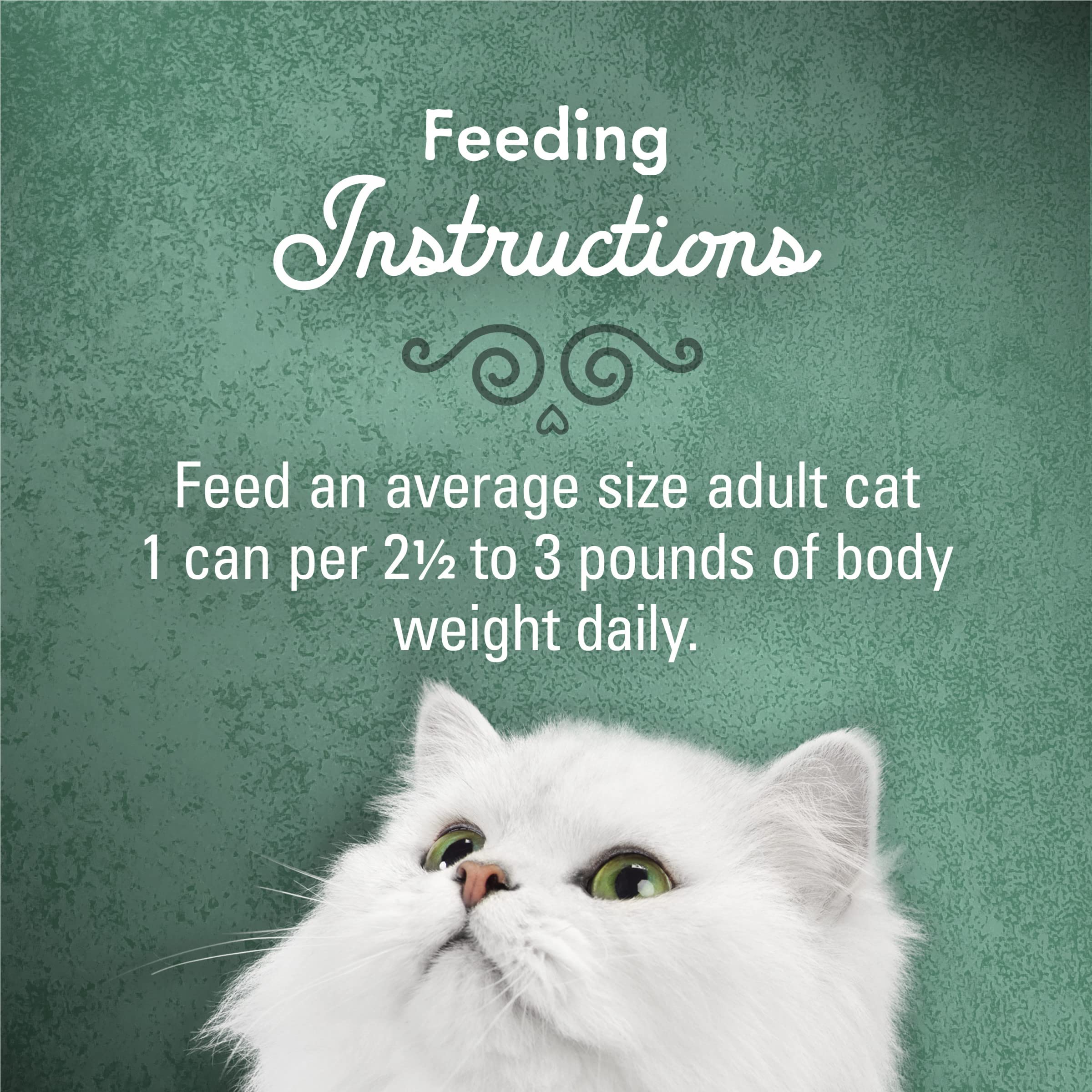 Fancy Feast Medleys beef ragu aroma entices cat at feeding time.