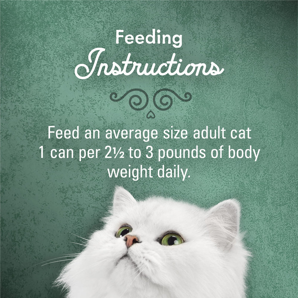 Fancy Feast Medleys beef ragu aroma entices cat at feeding time.