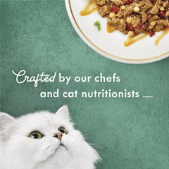 Fancy Feast Medleys beef ragu savory sauce closeup 3 oz can captures aroma.