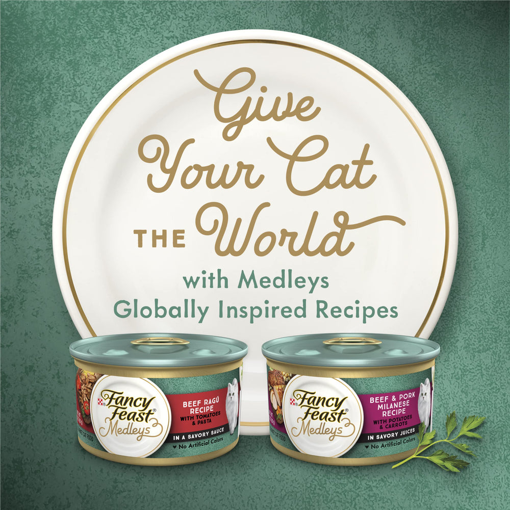Fancy Feast Medleys serving suggestion plate 3 oz can invites tasty dining experience.