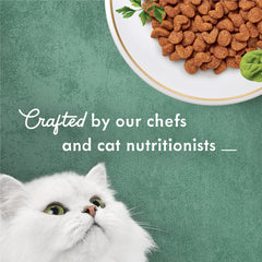 Fancy Feast Medleys Primavera carotte et légumes : équilibre délicieux pour repas quotidiens.