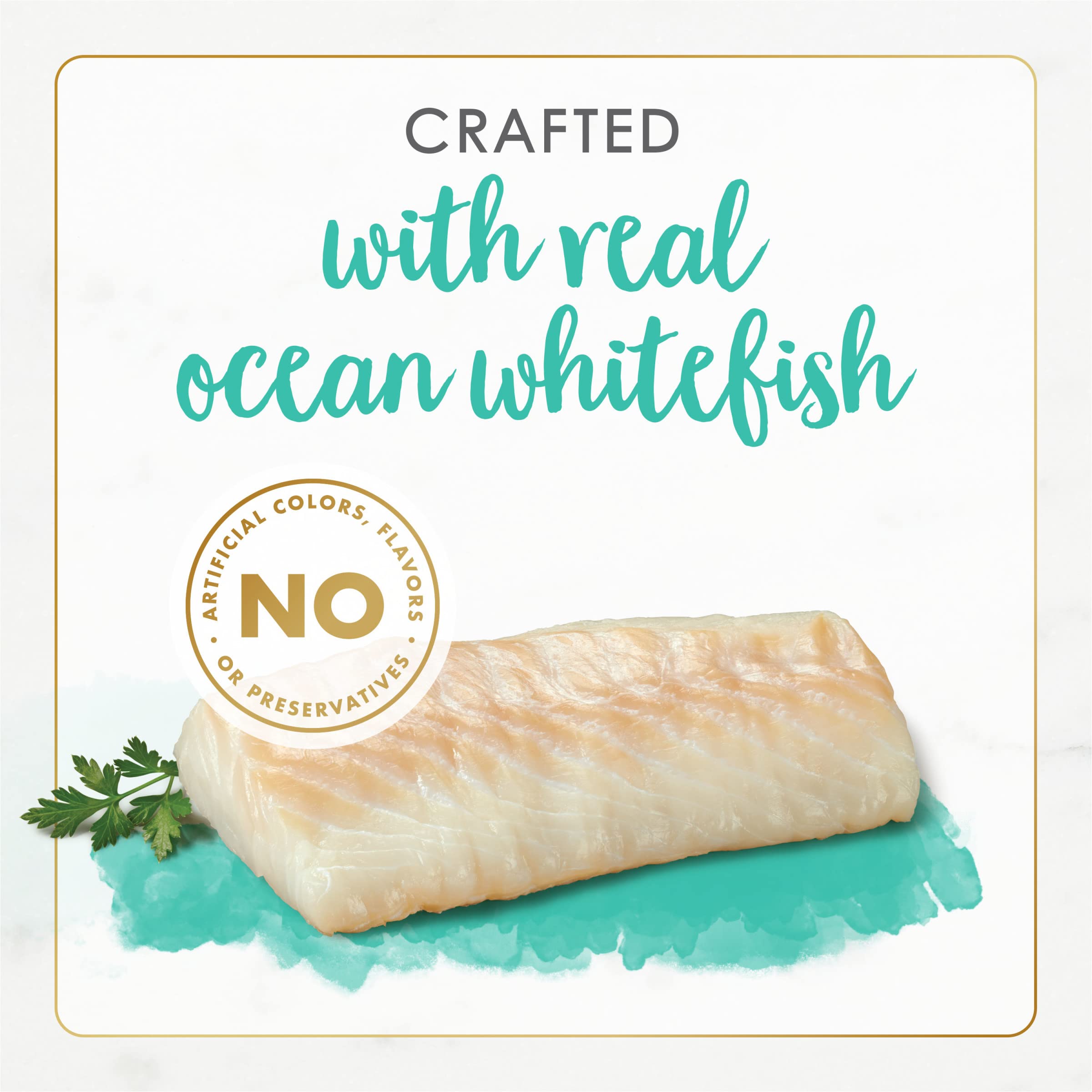 Fancy Feast Ocean Whitefish Pate serving bowl inviting mealtime appeal.