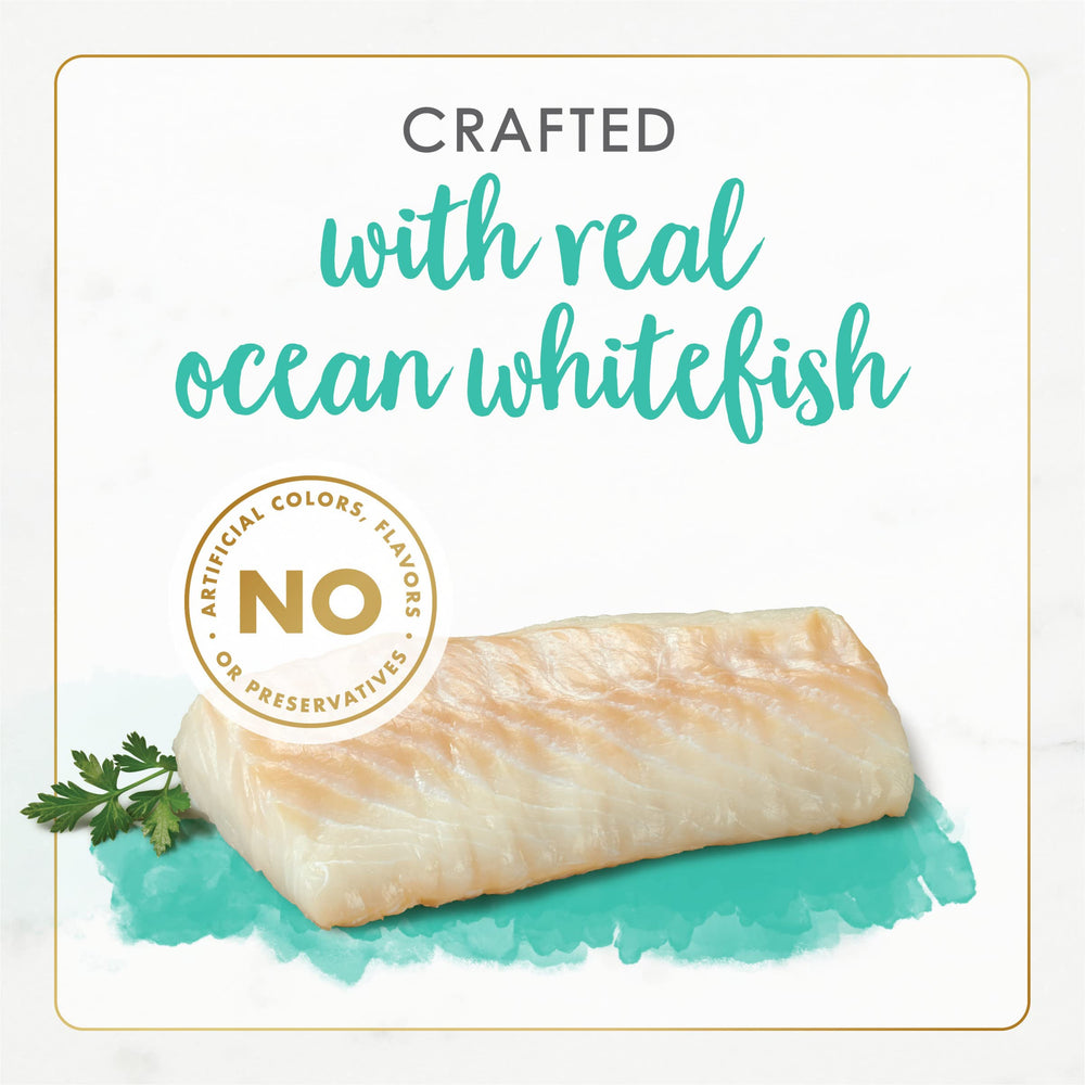 Fancy Feast Ocean Whitefish Pate serving bowl inviting mealtime appeal.