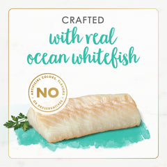 Fancy Feast Ocean Whitefish Pate serving bowl inviting mealtime appeal.