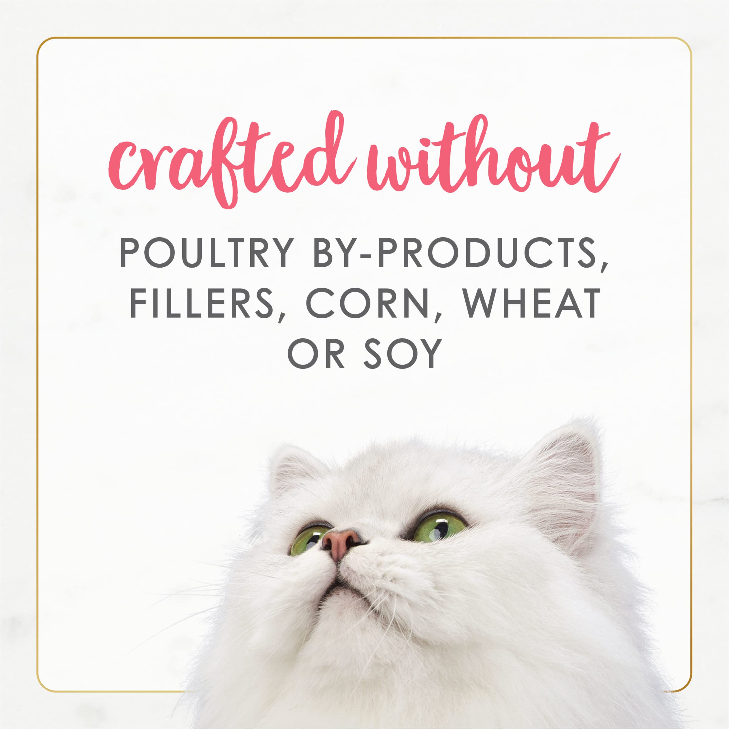 Fancy Feast sans colorants conservateurs, pâté chaton sain et naturel.