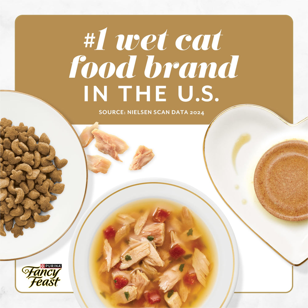 Fancy Feast Savory Centers dual-texture detail illustrating contrast.