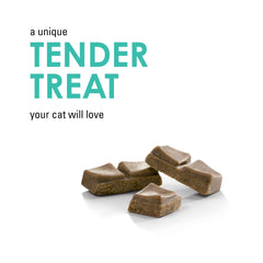 Fancy Feast Savory Cravings soft-tender-treats showcase tuna flavor for a gentle cat nibble.