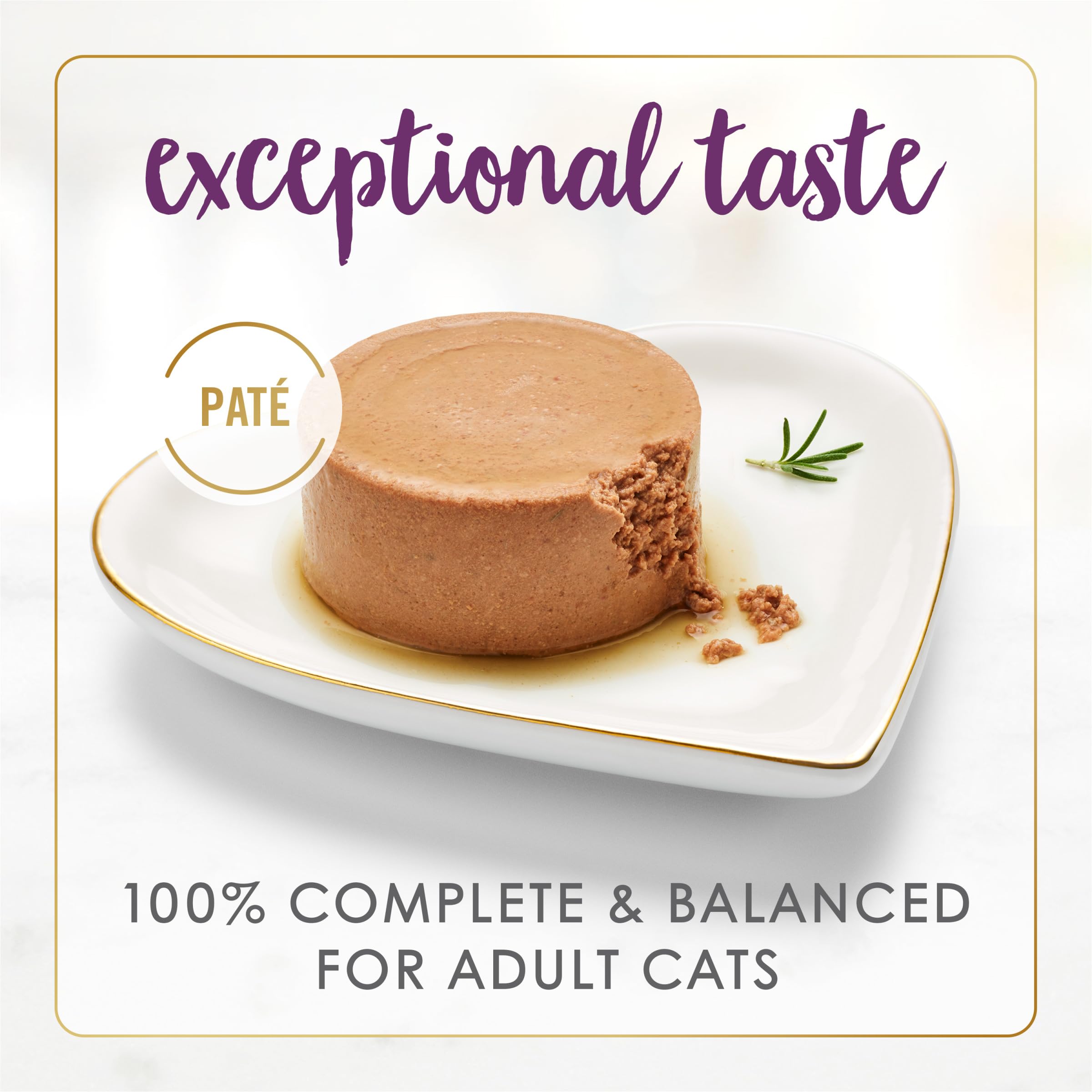 Fancy Feast Senior Beef Pate packaging closeup, emphasizes convenient pull-tab cans.