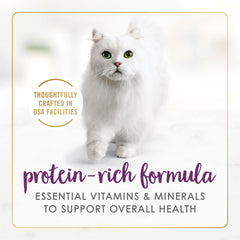 Fancy Feast Senior Beef Pate texture closeup, creamy pate appeal for older cats.