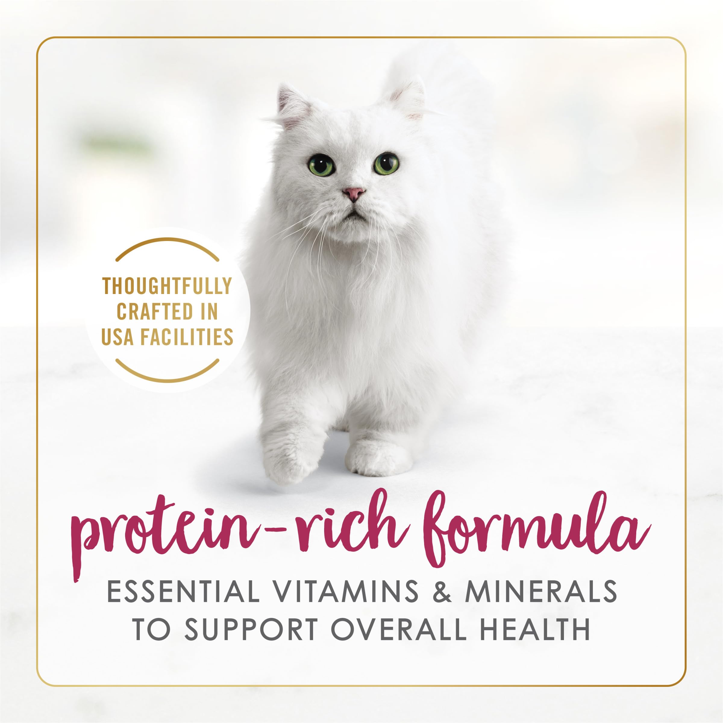 Purina Fancy Feast Senior Can with pull-tab for quick serving