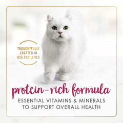 Purina Fancy Feast Senior Can with pull-tab for quick serving
