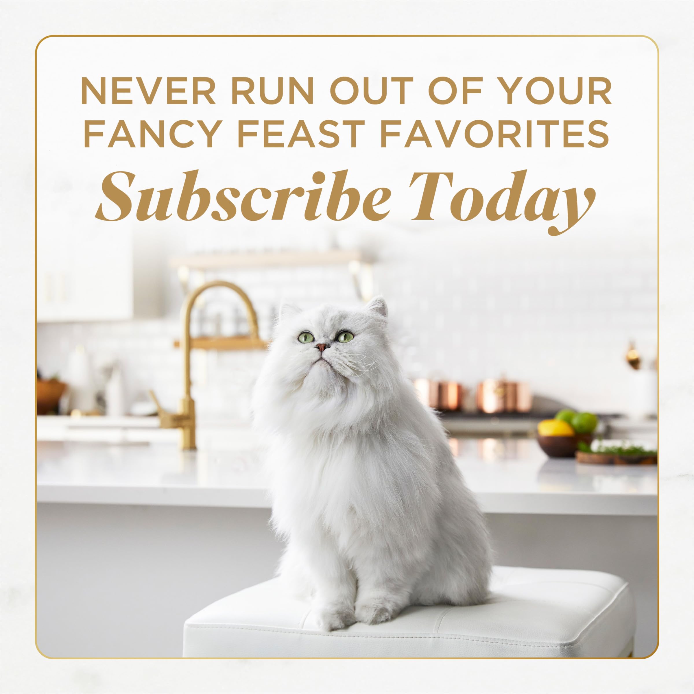 Fancy Feast Savory Centers chicken and gravy image suggesting variety in meals