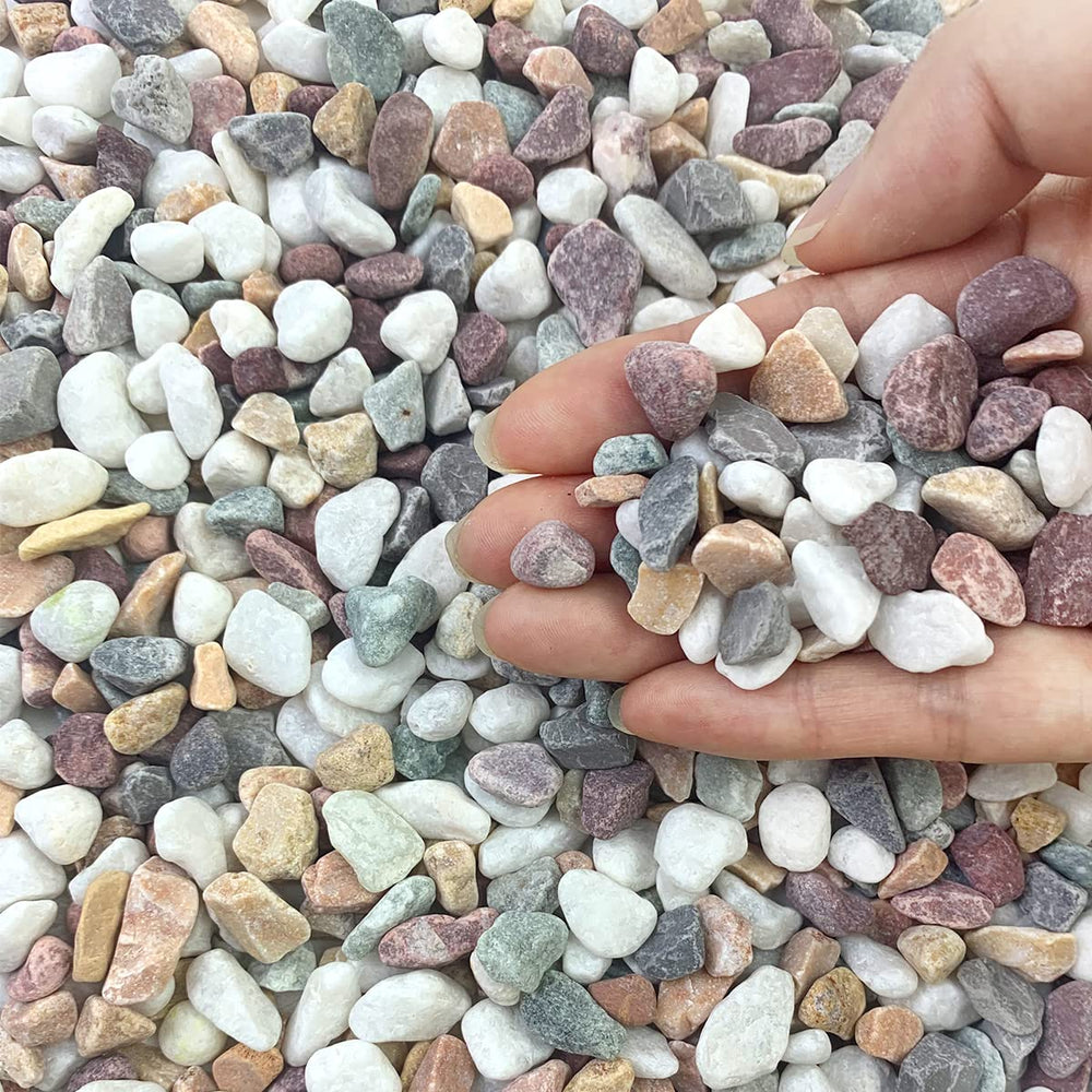 FANTIAN 2lb natural pea gravel 3/8 inch for clean, decorative plant displays