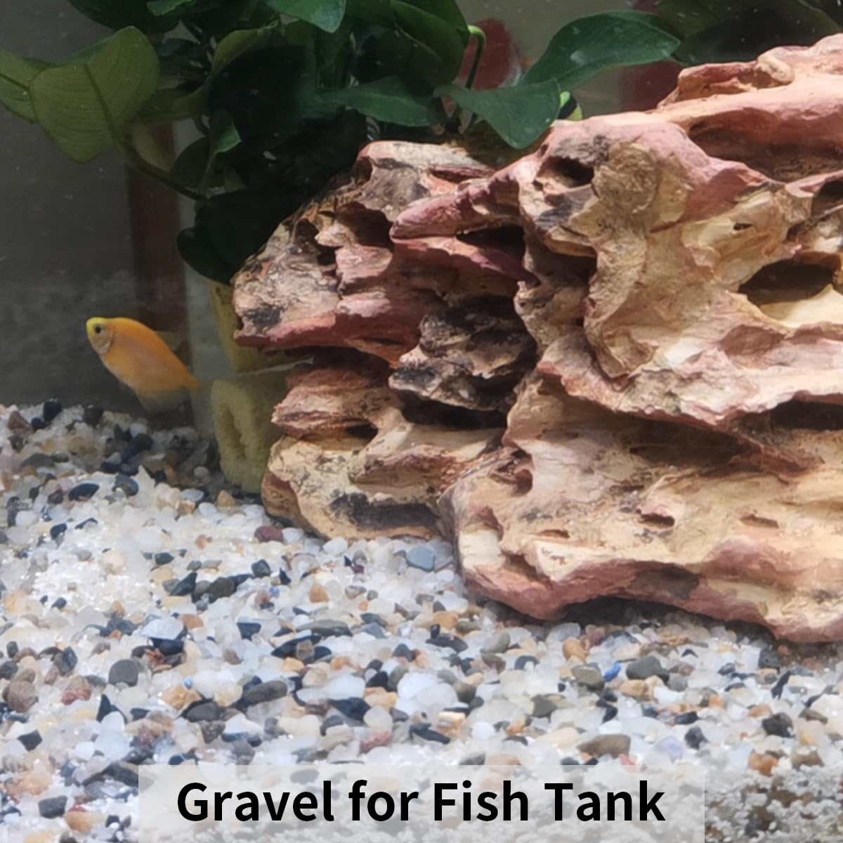 FANTIAN aquarium gravel supports tidy, attractive tank substrates