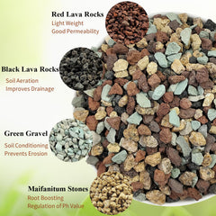 FANTIAN horticultural lava rock provides decorative surface stones and moisture control.
