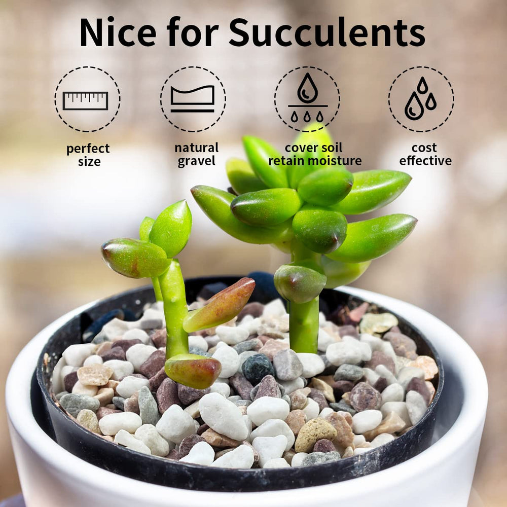 FANTIAN indoor plants pebbles top dressing tidy soil and drainage