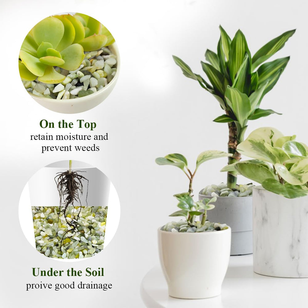 FANTIAN jade rocks decorate vases and bamboo arrangements with lasting luster.