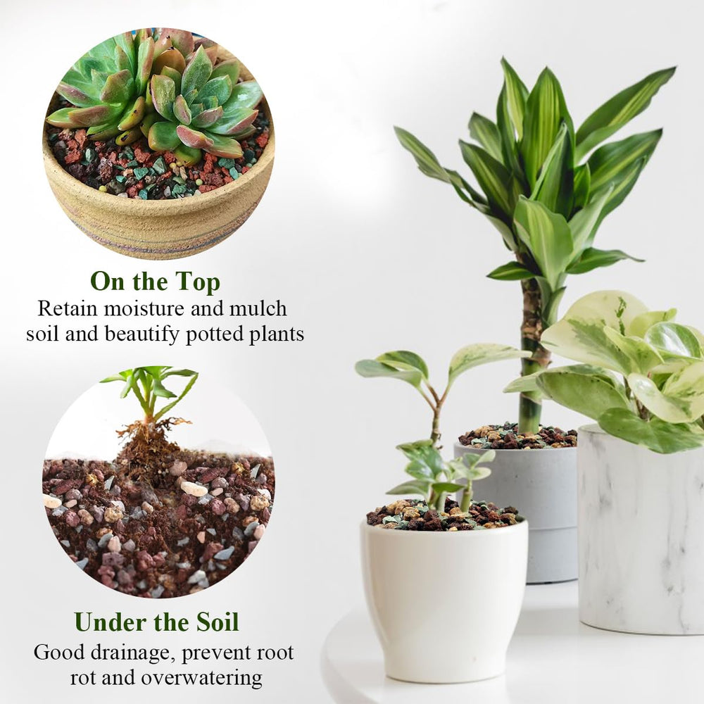 FANTIAN mix with soil media demonstrates versatile use with peat, vermiculite, or perlite.