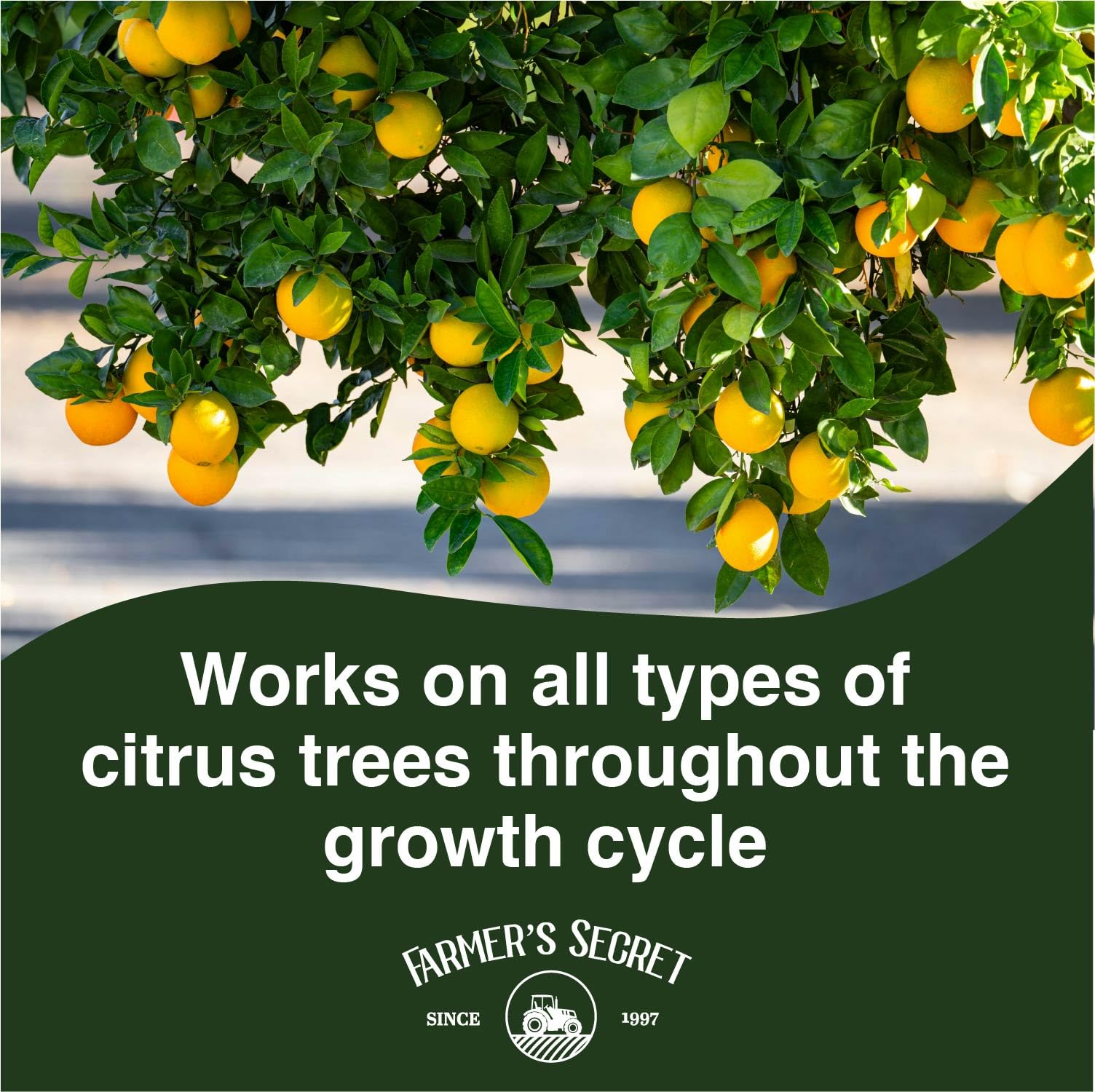 Farmer's Secret Citrus Tree Booster dilution mix ready for weekly feed