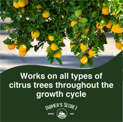 Farmer's Secret Citrus Tree Booster dilution mix ready for weekly feed
