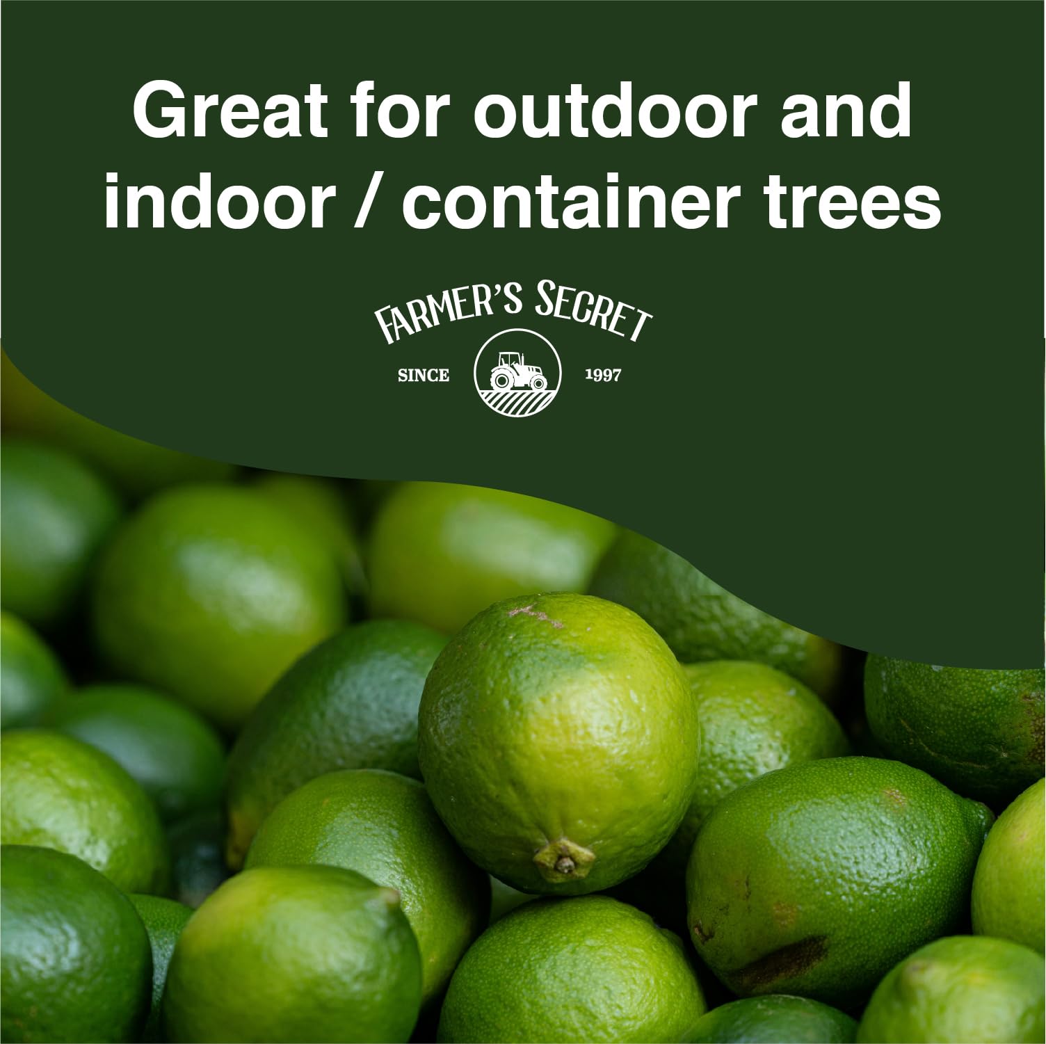 Farmer's Secret Citrus Tree Booster indoor container tree setup